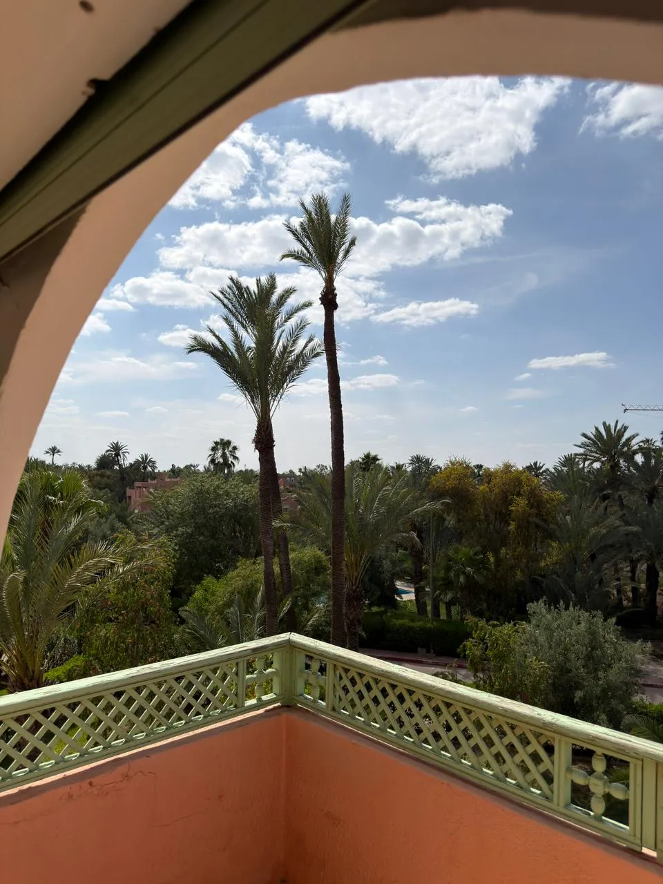 Balcony view over the palm grove